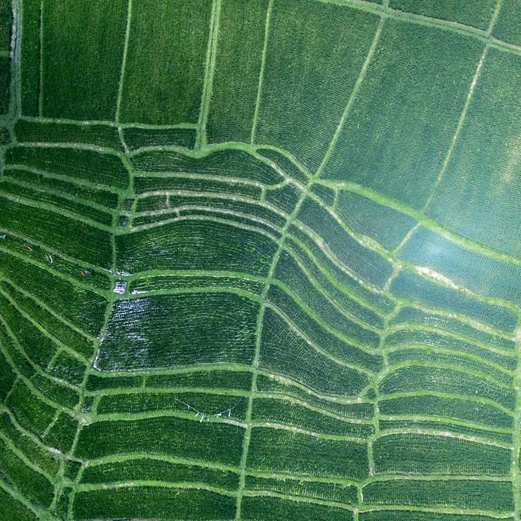 Kids playground area in Portugal